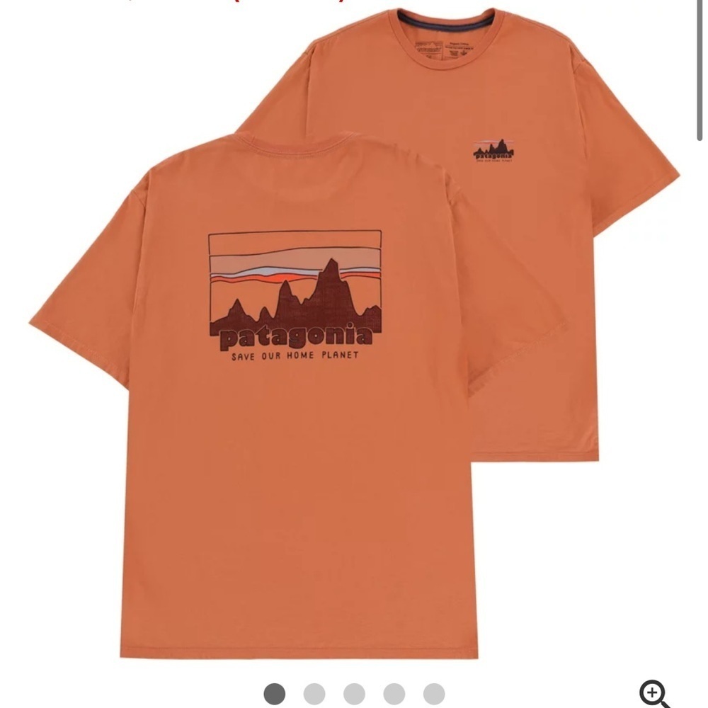 Patagonia Men's '73 Skyline Organic T-Shirt